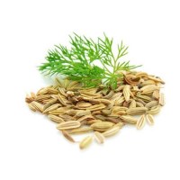 Μάραθος Αιθέριο Έλαιο