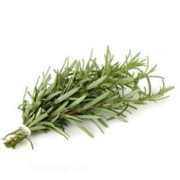 Δενδρολίβανο Αιθέριο Έλαιο