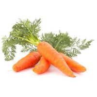 Καρότο Αιθέριο Έλαιο