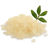 Μαστίχα Absolut Αιθέριο Έλαιο