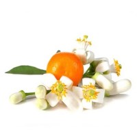 Νέρολι Absolut Αιθέριο Έλαιο 