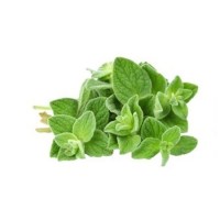 Αιθέριο Έλαιο Ρίγανη 