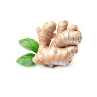 Τζίντζερ (Ginger) Αιθέριο Έλαιο 