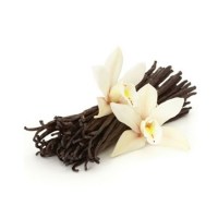 Βανίλια P.O. Αρωματικό Έλαιο 10ml